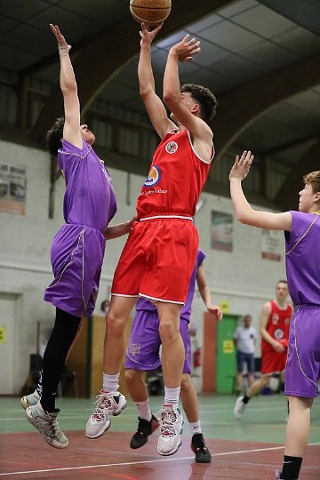 COUPE BAB (127)