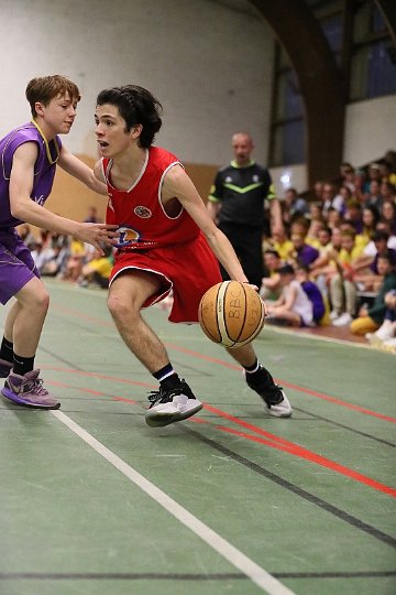 COUPE BAB (132)