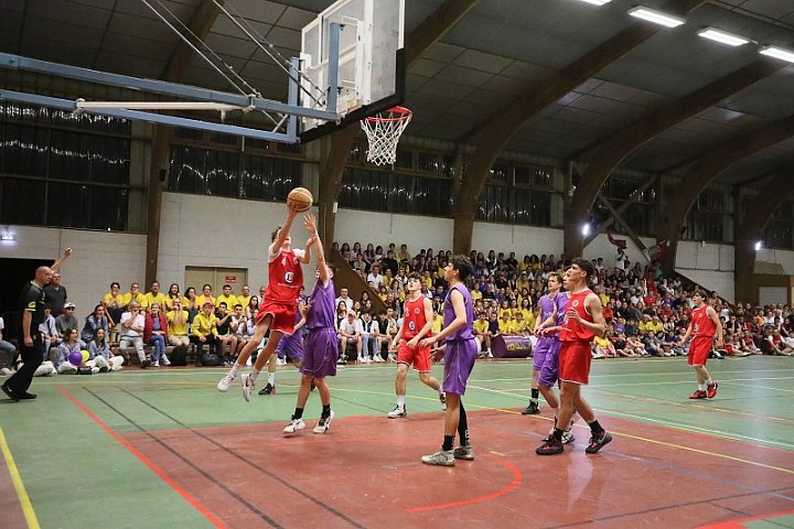 COUPE BAB (18)