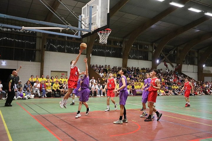 COUPE BAB (19)