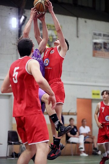 COUPE BAB (352)