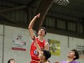 COUPE BAB (108)