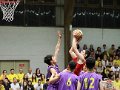 COUPE BAB (264)