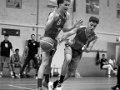 COUPE BAB (42)