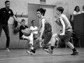 COUPE BAB (46)
