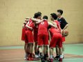 COUPE BAB (63)