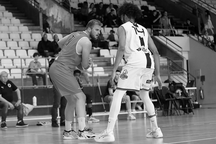 D (26)