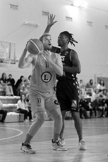 D (18)